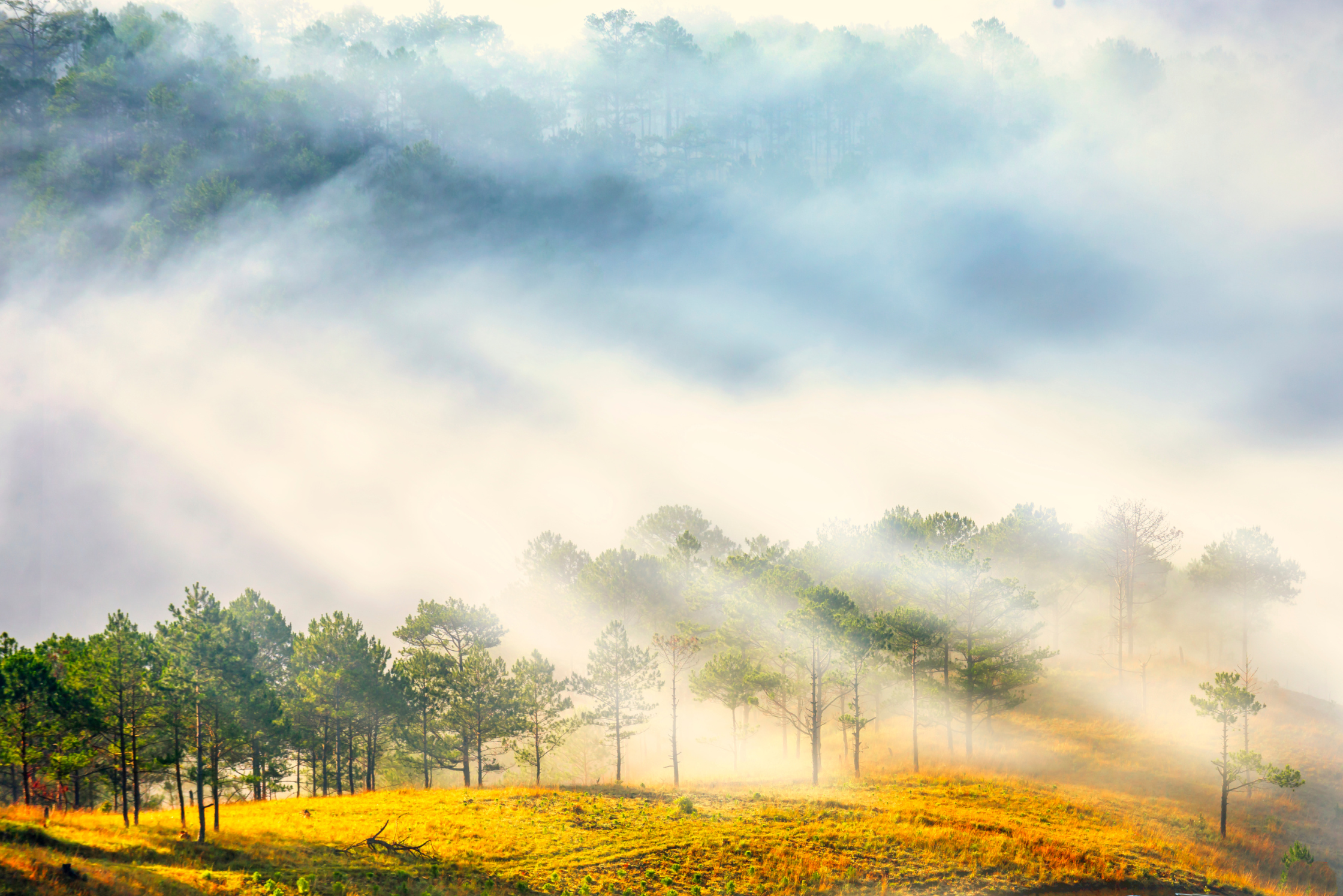 Da Lat 3 Days 2 Nights Tour